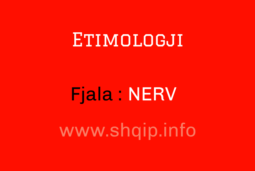 Etimologji për fjalën NERV