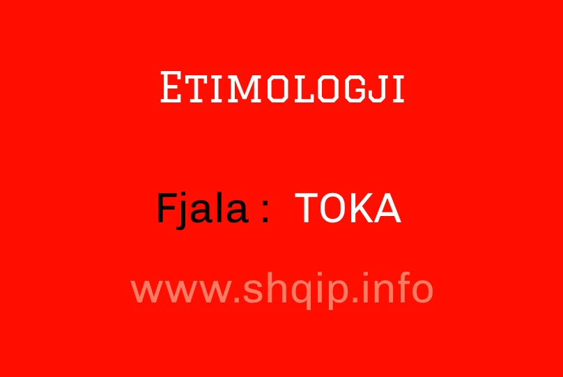Etimologji për fjalën TOKA