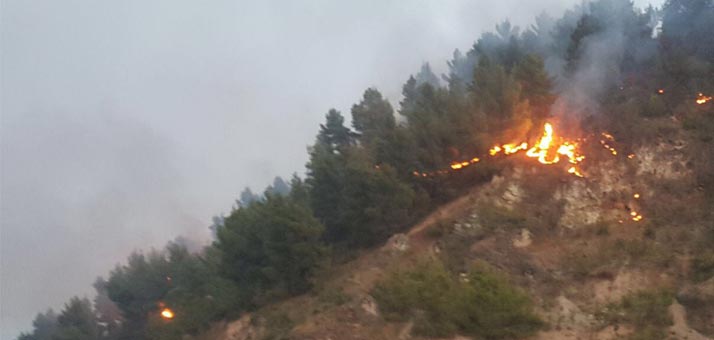248 vatra zjarri në të gjithë Shqipërinë