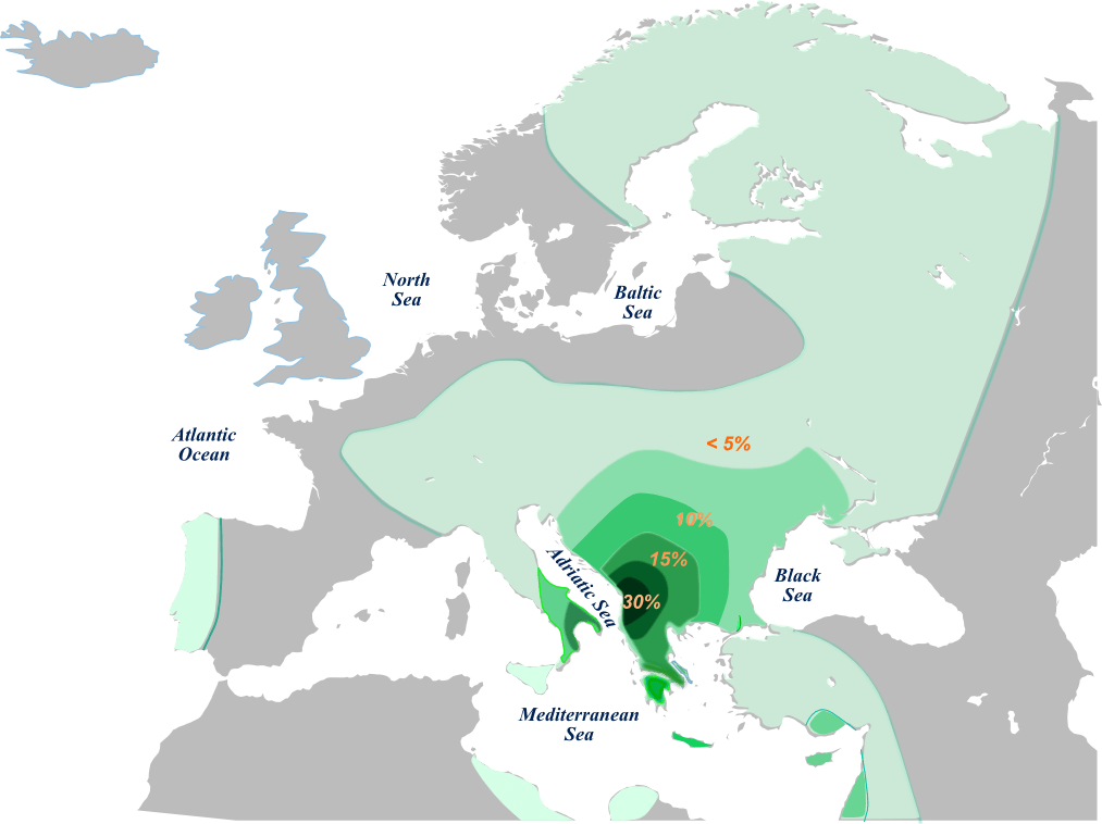 Asimilimi i Europianit Neolitik E-V13 nga indo-evropianët