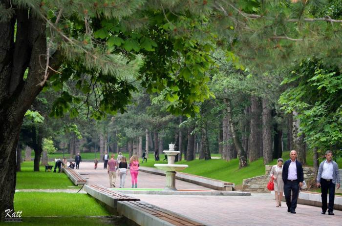 Parku i freskisë/ Zona 10 hektarë në Korçë mbushet çdo ditë me pushues